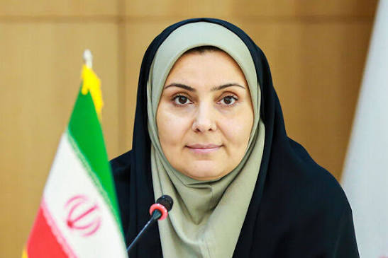 دستور صریح وزیر درباره طرح های حمایتی...